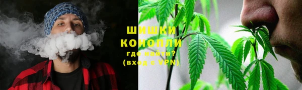 ПСИЛОЦИБИНОВЫЕ ГРИБЫ Балахна