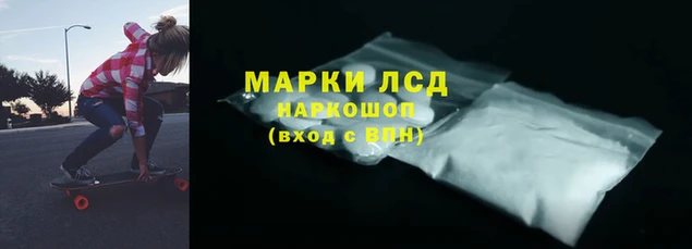 ПСИЛОЦИБИНОВЫЕ ГРИБЫ Балахна
