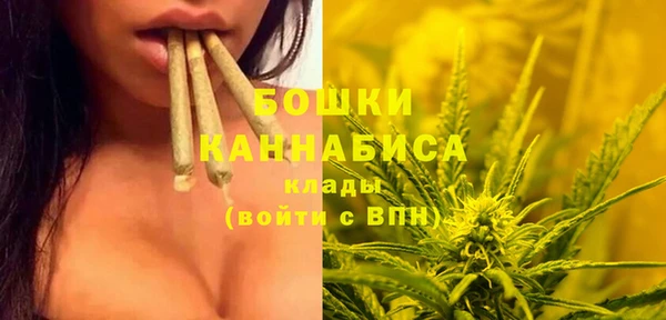 ПСИЛОЦИБИНОВЫЕ ГРИБЫ Балахна