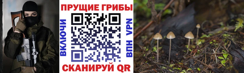 наркотики  Гремячинск  Псилоцибиновые грибы ЛСД 